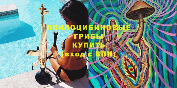 а пвп мука Белокуриха