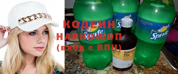 шишки Рославль